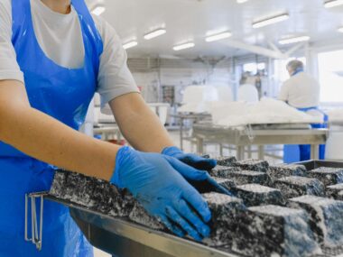 Visa Sponsorship Austria Jobs for Foreign Workers